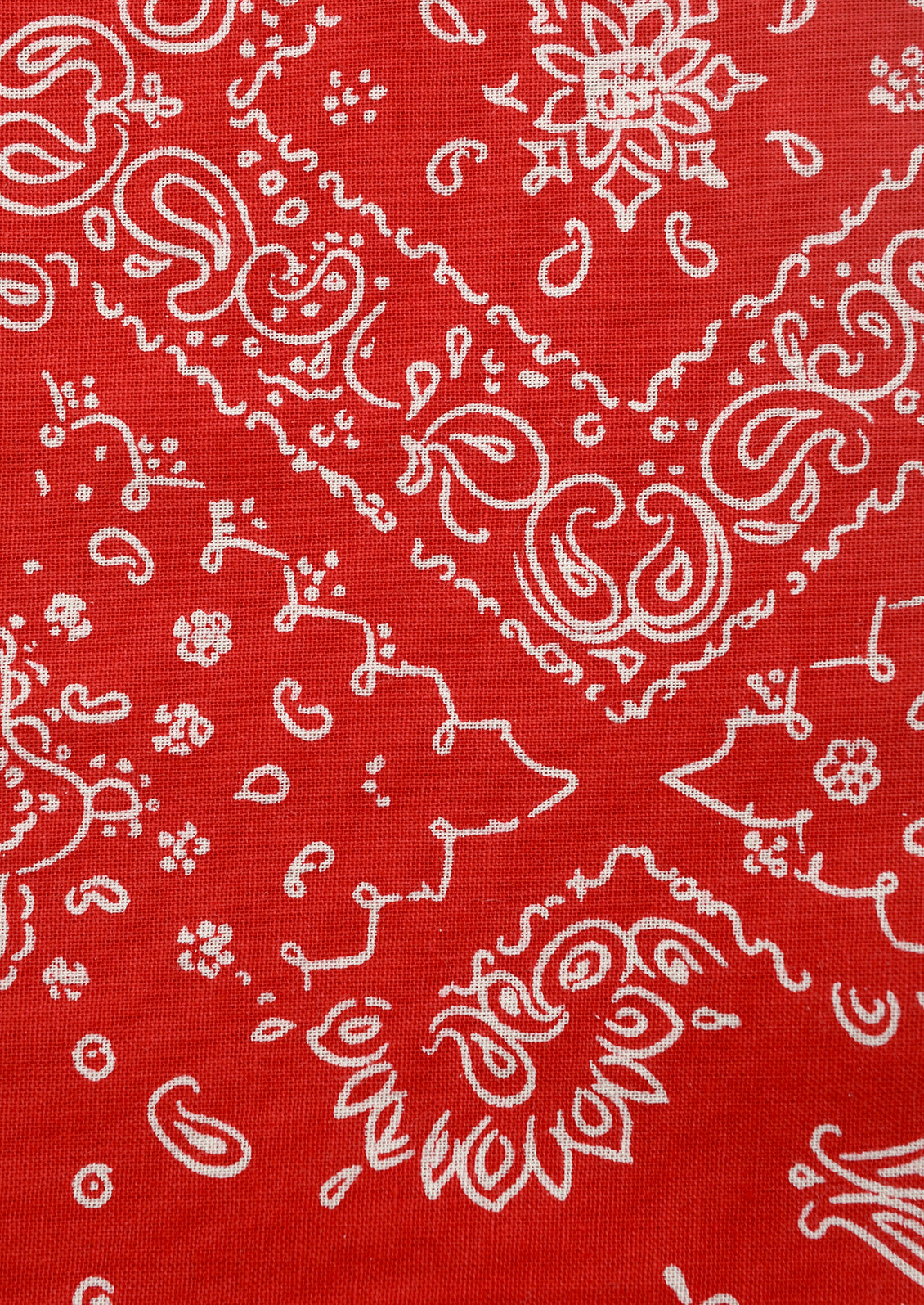 Bandana Print Napkin Set